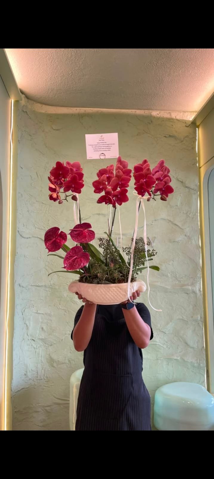 Luxury  Stem Burgundy Orchid Pot